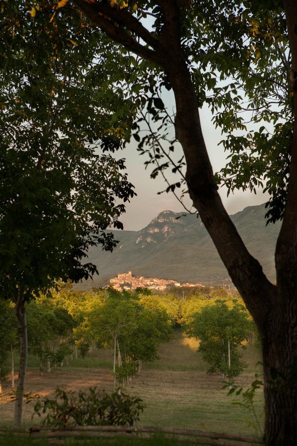 Il Refolo Bed and Breakfast Riardo Exterior foto